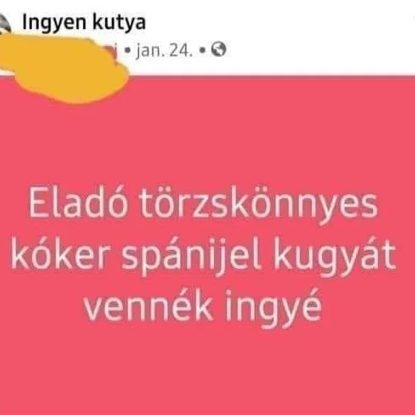 Facebook sz*rságok