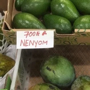 Röhelyesírás