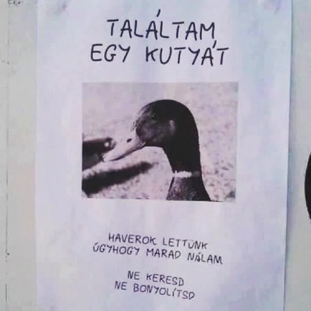 Komoly kis hirdetés