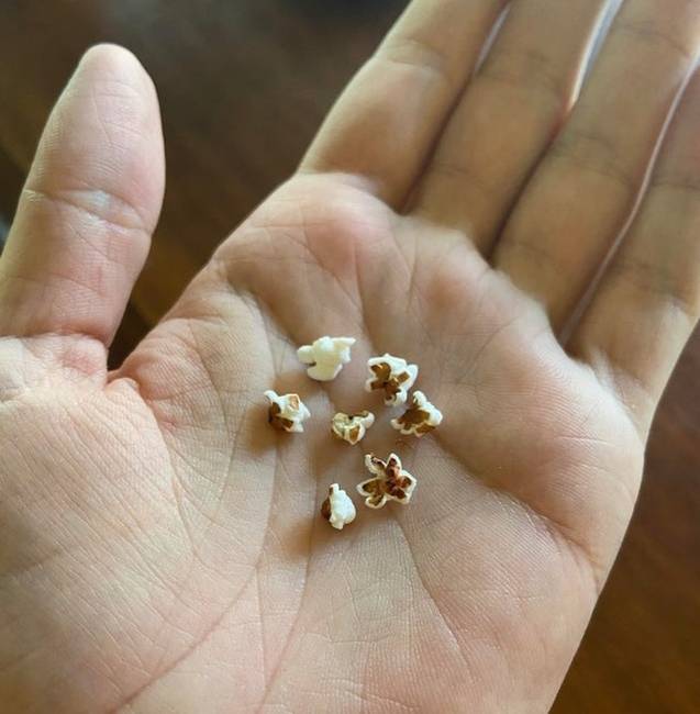 „Anya beletett véletlenül néhány madáreledelt a mikróba és mini popcorn kapott.”