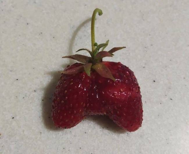 „A szamócám olyan, mint egy Xbox joystick."