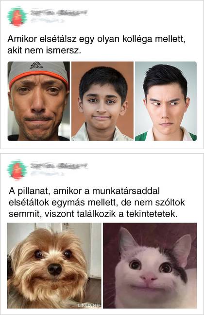 A kollégákkal történő kapcsolatteremtés nagyon összetett.