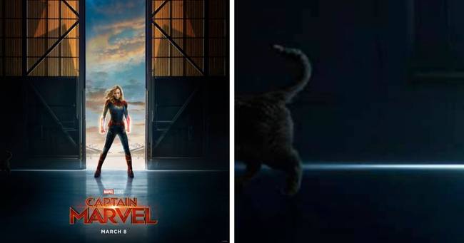 Ha alaposan megnézzük a Marvel Kapitány (2019) című film plakátját, láthatjuk, hogy nemcsak a főszereplő kapott rajta helyet, hanem a film egyik jellegzetes karaktere, a macska is.