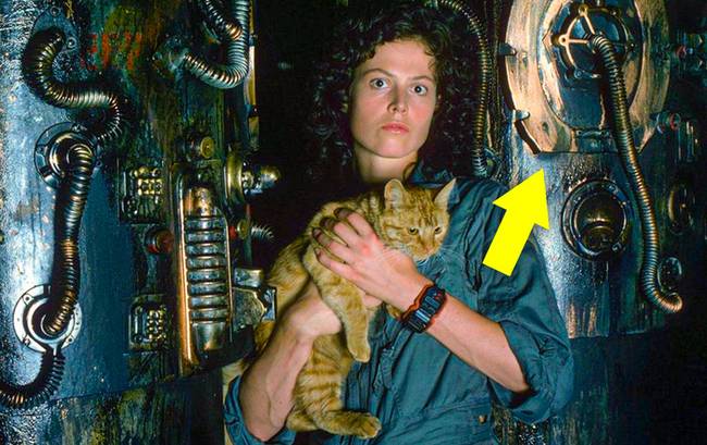 Az 1979-es Alien című film promóciós képein Sigourney Weaver egy WC-ülők mellett állva pózol.