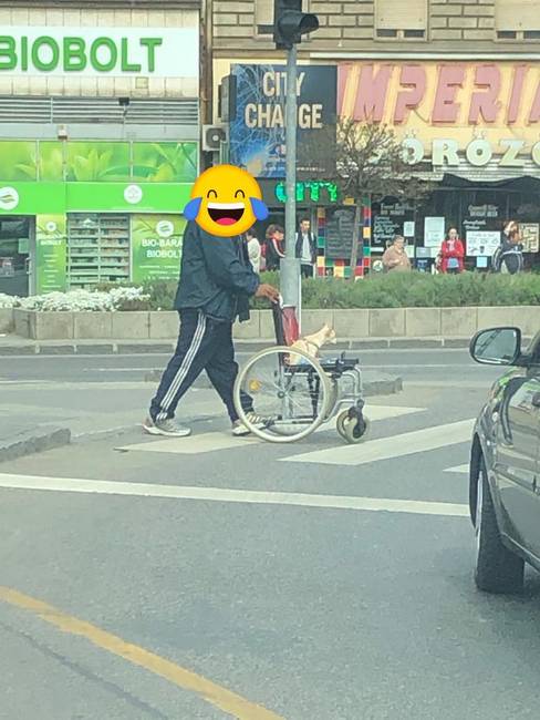 Képzeljétek el, micsoda történet lakozhat mögötte.