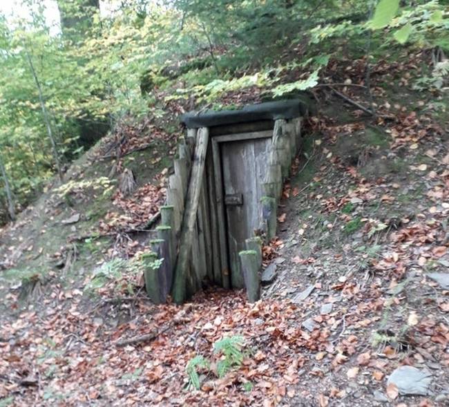 „Ház a cserjésben, Németországban."