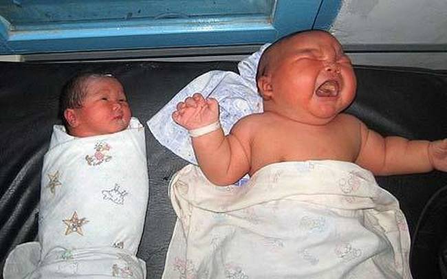 Egy normál újszülött és a világ legnehezebb kisbabája. (10,5 kg)