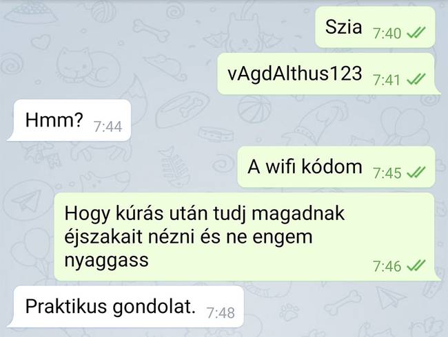 20 üzenet, ami bizonyítja, hogy a társkeresés néha kellemetlenül bonyolult