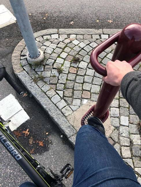 Az országban valódi sport-kultusz uralkodik.