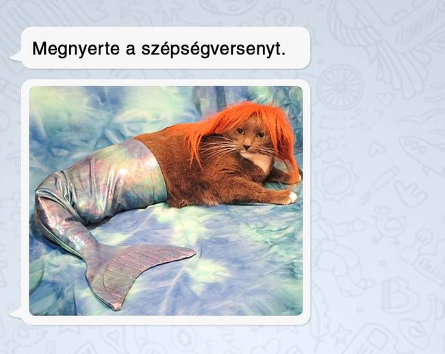 „Édesanyám küldte...”