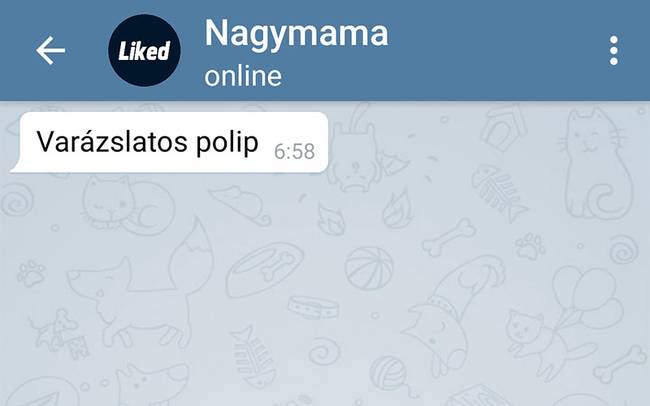 „A nagymamám üzenetére ébredtem...”