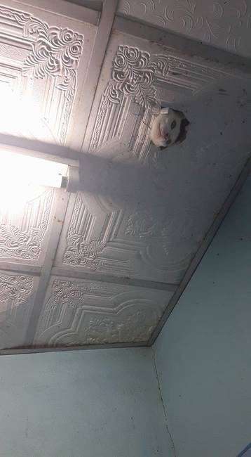 Helló!
