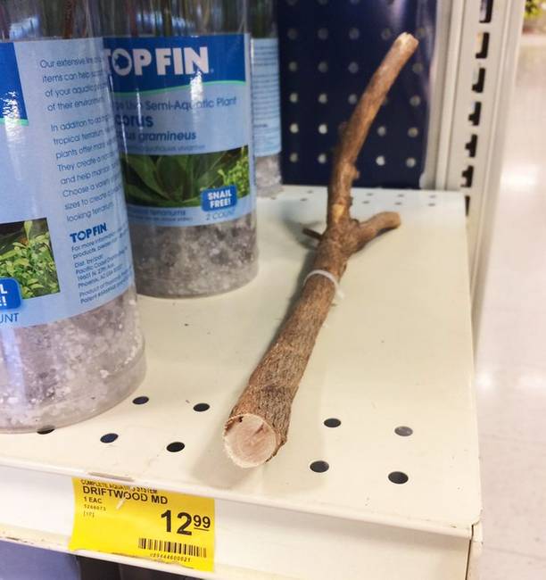 Ezt a botot 12,99 dollárért árulják egy kisállat kereskedésben.
