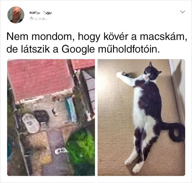 A Google mindent lát.