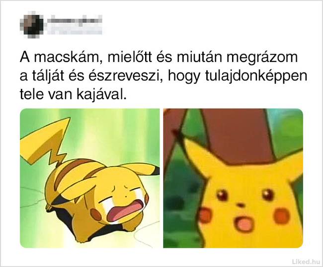 18 ember, akinek az észrevételeit és megjegyzéseit könyvbe kéne foglalni és tanítani az iskolában