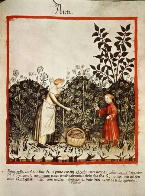 Középkori gyerekek 028