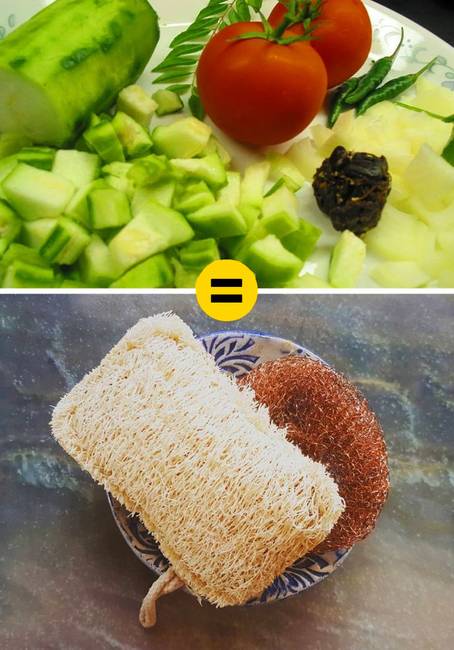 Luffa