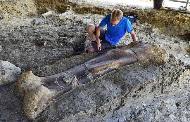 Ez a férfi egy 140 millió éves, 500 kg súlyú dinoszaurusz csontot talált nemrég a franciaországi kertjében.