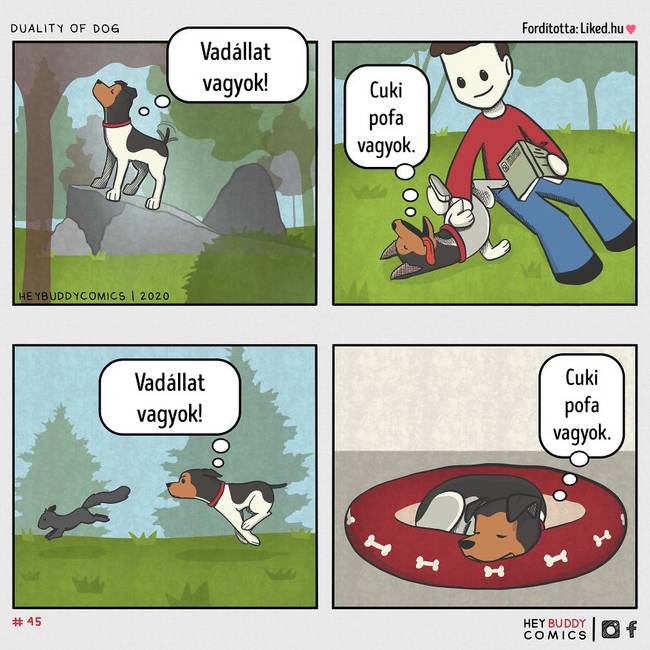 Kettős érzés.