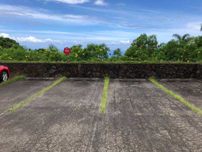 Hawaiion festék helyett inkább hagytak egy csíkot a betonban, ahol füvet termesztenek.