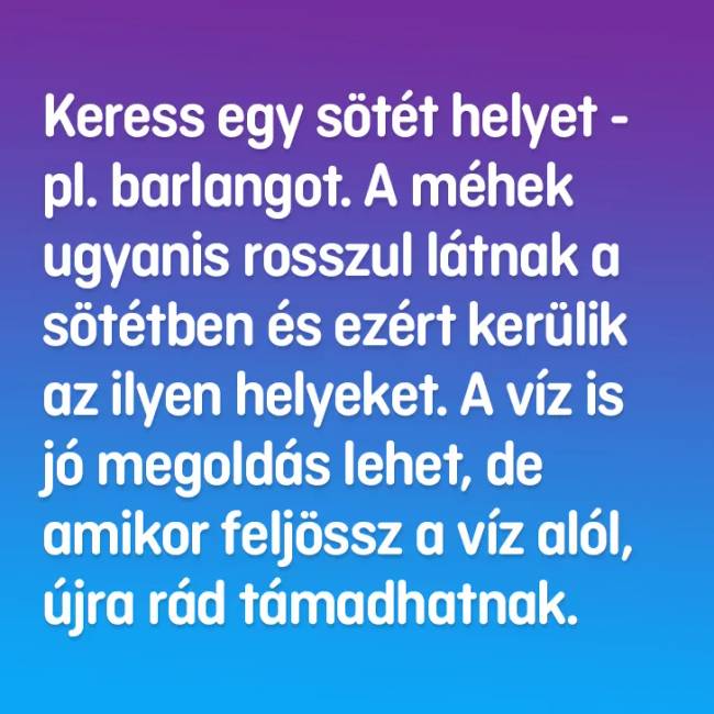 mehek2