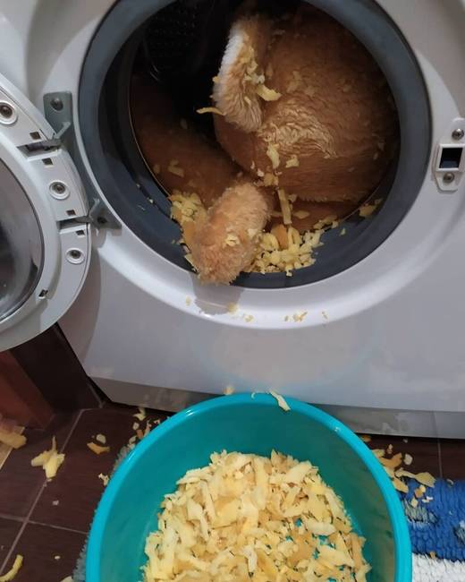 „Most mehetek új macit venni a lányomnak, mielőtt hazaér és meglátja, hogy mit tettem."