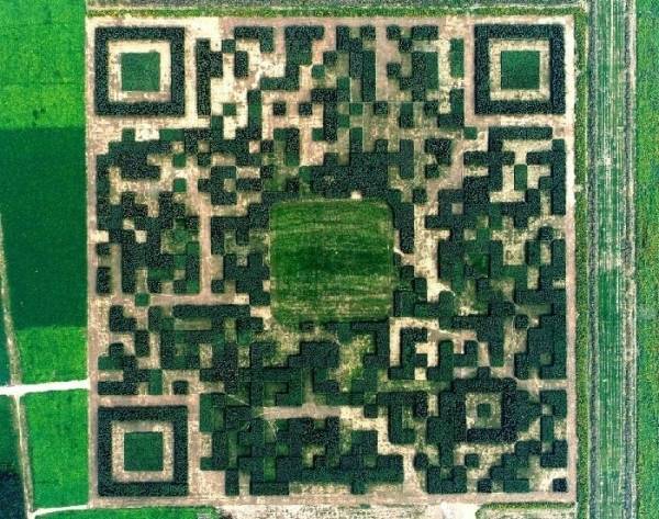 Ez a kínai park felülről nézve egy hatalmas QR-kód.