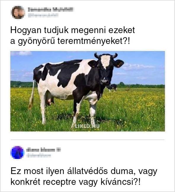 17 ember, aki hülyeséget posztolt a neten és az emberek nem hagyták szó nélkül