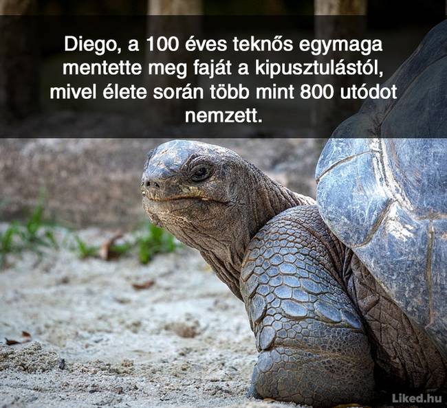 20+ örömteli tény, ami után teljesen más szemmel nézel majd a világra