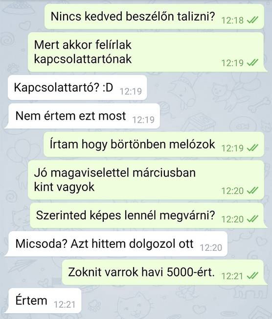 20 üzenet, ami bizonyítja, hogy a társkeresés néha kellemetlenül bonyolult