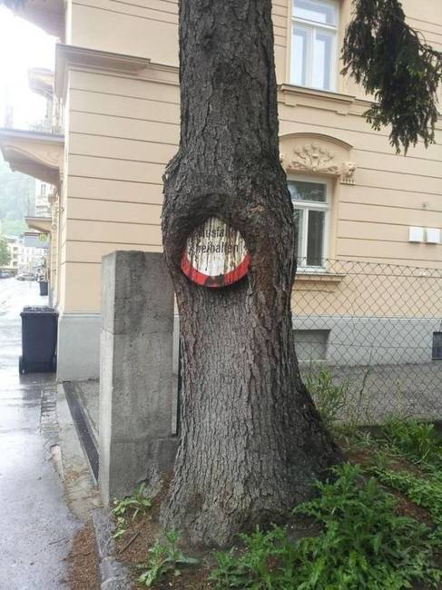 A természet és a civilizáció összecsapása.