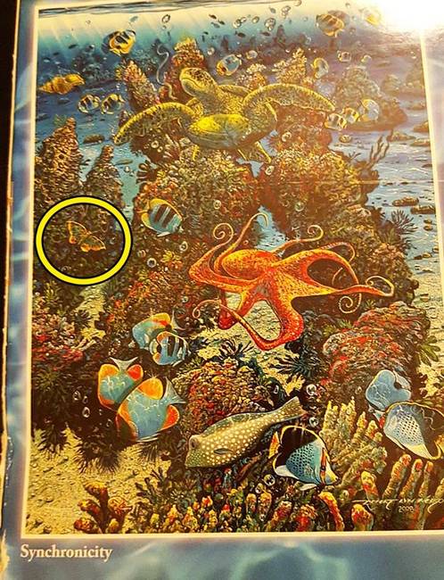 Óceános puzzle, amivel csak egy a baj: mit keres egy pillangó az óceán fenekén?!