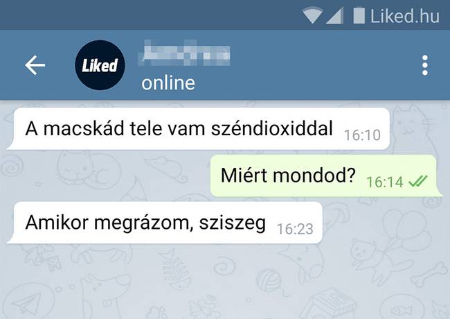 12 ember, aki bármire képes választ adni