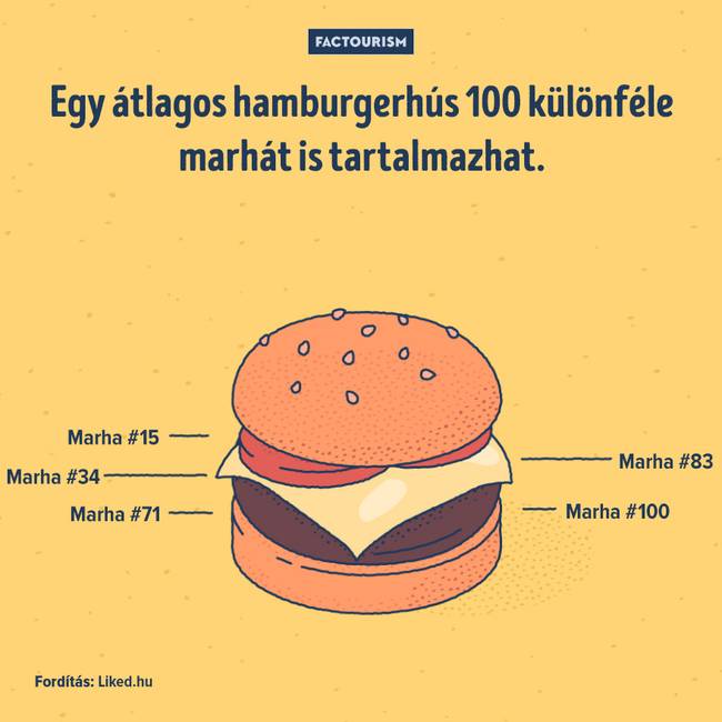 25+ őrült tény a világról, ami még a tapasztalt tudósokat is sokkolja