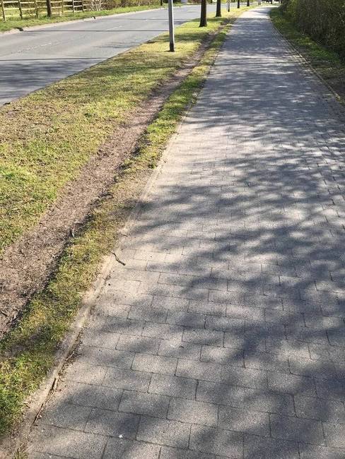 Németországban külön sáv van a járda mellett a kutyáknak, hogy ne égesse a lábukat a forró járda.