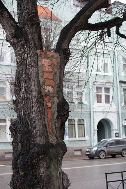 Amikor egy kőműves szabadidejében kertészkedik.