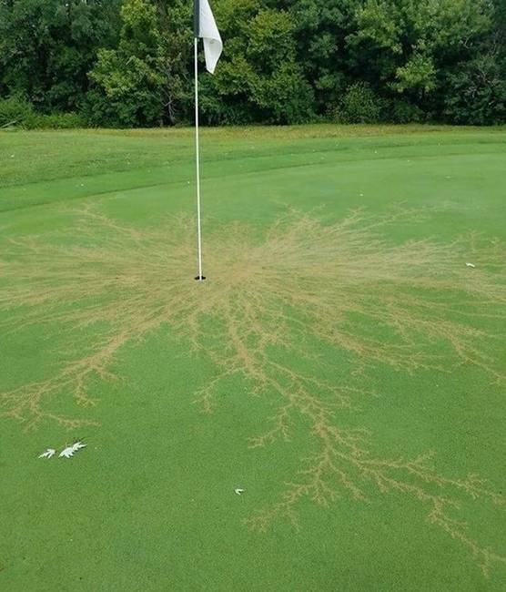Így néz ki egy villám csapta golf lyuk.