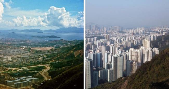 Hongkong akkor és most, 1964 - 2016