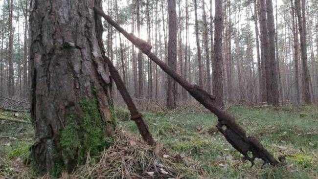 Európa erdeiben még most is számtalan helyen találkozhatunk régi katonai fegyverekkel a világháborúk idejéből.