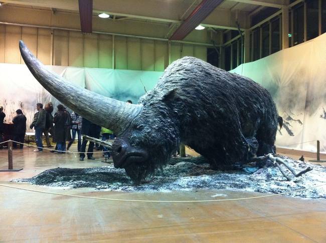 Az Elasmotherium egy 29 ezer éve kipusztult páratlanujjú patás volt, így ha szigorúan vesszük, egykoron tényleg éltek "egyszarvúak" a földön.