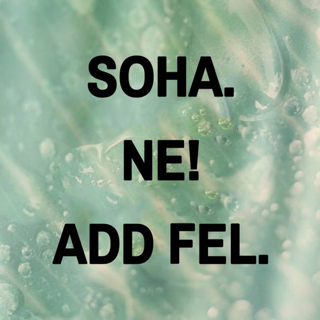 20+ uninspiráló idézet azoknak, akik unják már a végtelenül pozitív baromságokat