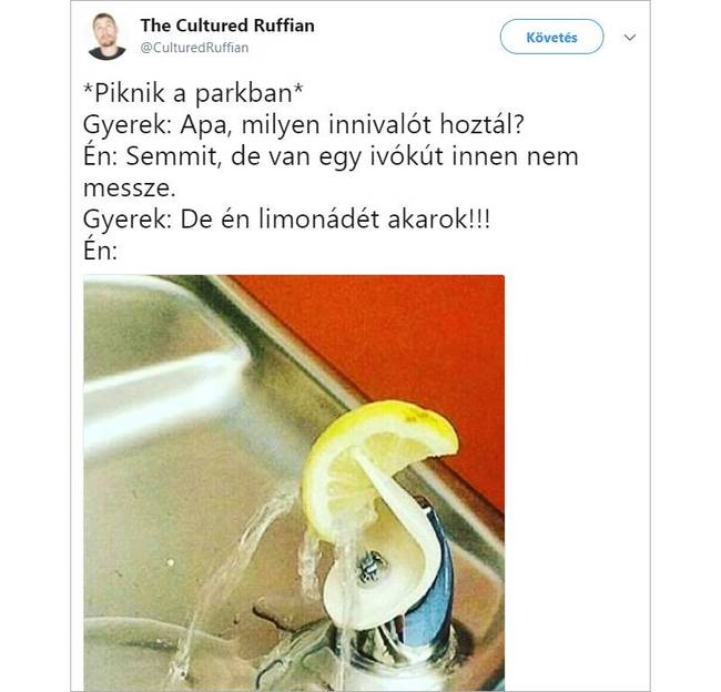 17 kép, ami jól mutatja, hogy milyen kiszámíthatatlan vállalkozás a gyereknevelés