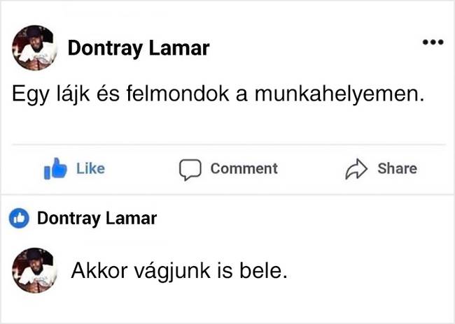 Ha jól akarsz csinálni valamit, csináld magad.