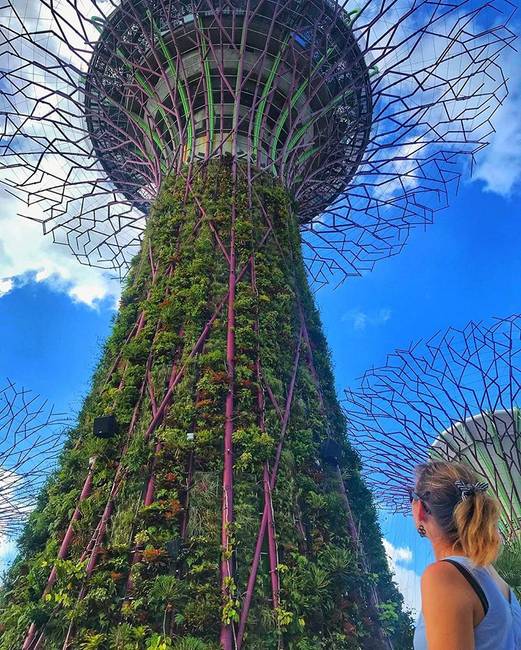 Ezek a „Szuperfa” névre keresztelt fa-szerű struktúrák nemcsak tisztítják a levegőt, de árnyékolóként is funkcionálnak a szingapúri Gardens by the Bay növénykertben, hogy a látogatóknak ne a tűző napon kelljen sétálniuk.