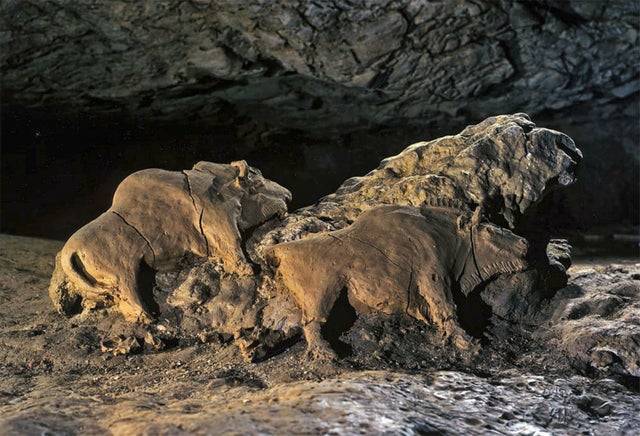 14 000 éves bölényszobrok a Les Trois Frères-barlangban - Ariège, Franciaország.