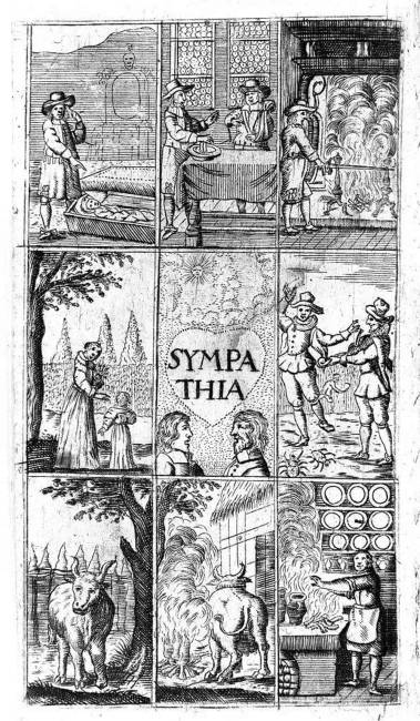 12 ősi egészségügyi eljárás, ami gyakrabban ölte meg az embereket, mint maguk a betegségek