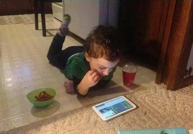 A kaja ki van tiltva a nappaliból, a tablet ki van tiltva a konyhából. Ő mégis megtalálta a joghézagot…😂