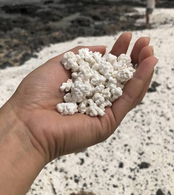 A Fuerteventura partján található kavicsok úgy néznek ki, mint a pattogatott kukorica.