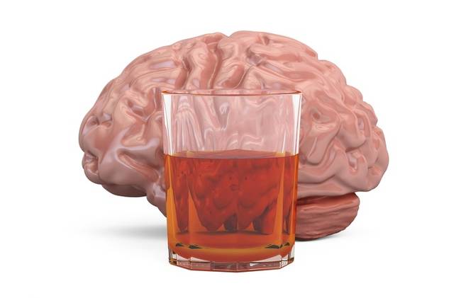 Az alkohol megöli az agysejteket.