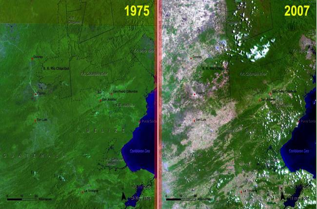 Guatemala 32 éves kitartó erdőirtásának eredménye.